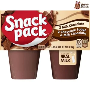 Snack Pack Chocolate Fudge Pudding